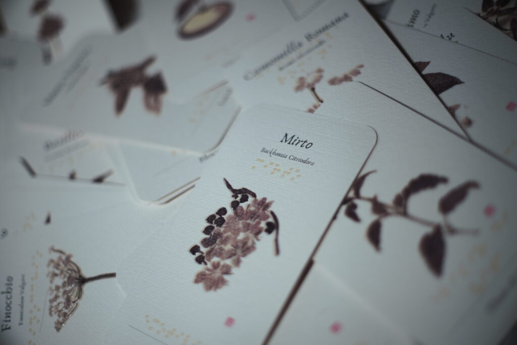 Stefania Zani - Le essenziali braille Ph. credit @brainsbug (Carlo Di Mario)